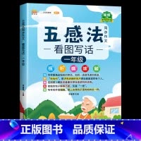 [1年级]五感法看图写话(含视频讲解) 小学通用 [正版]2023新版五感法写作文小学生一年级二年级三年级四年级五六年级