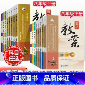 [人教版]政治 八年级下 [正版]2023版初中鼎尖教案八年级上下册语文数学英语物理道德与法治历史地理生物人教版北师外研