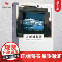 大画幅摄影书新版]北京电影学院摄影专业系列教材 大画幅摄影技法与应用数码单反摄影基础教程 人物风景静物初学到精通正版图书