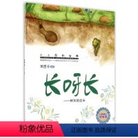 [正版]长呀长--树木的生长 小小百科宝典科学童话 米吉卡科普启蒙认知图画书 0-3-6岁幼儿园绘本 大班中班小班儿童