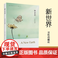 新世界灵性的觉醒 艾克哈特托尔著 全球销量700万册《遇见未知的自己》作者张德芬译作 哲学心理学知识 正版