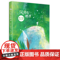 正版[精装] 风停在哪里 梅子涵给孩子的诗 一二三四年级老师阅读书籍适合孩子读的书籍 诗集献给孩子们的童心诗