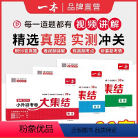 [三本]语数英 小学升初中 [正版]2024小升初总复习试卷小学毕业升学考卷大集结语文数学英语小升初必刷题真题试卷小学毕