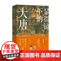 显微镜下的大唐 案宗里的律法 人情与生活 李旭东 著 历史