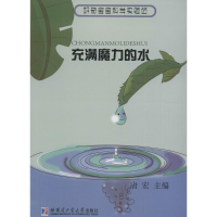 音像充满魔力的水唐宏 主编