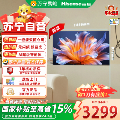 海信65英寸游戏电视 4K超高清 HDR支持 一级能效 语音控制 安卓系统LED背光 黑色窄边框设计