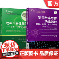 套装 入门功率半导体器件及应用 功率半导体器件 宽禁带半导体功率器件 原理 特性 可靠性 材料 物理 设计 应用 机械工