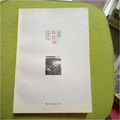 正版新书]新思潮王守昌9787506009737