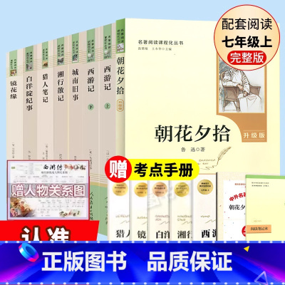 七年级上册名著8册 [正版]七年级上册名著8册西游记朝花夕拾城南旧事猎人笔记镜花缘湘行散记白洋淀纪事 人民教育出版社原著