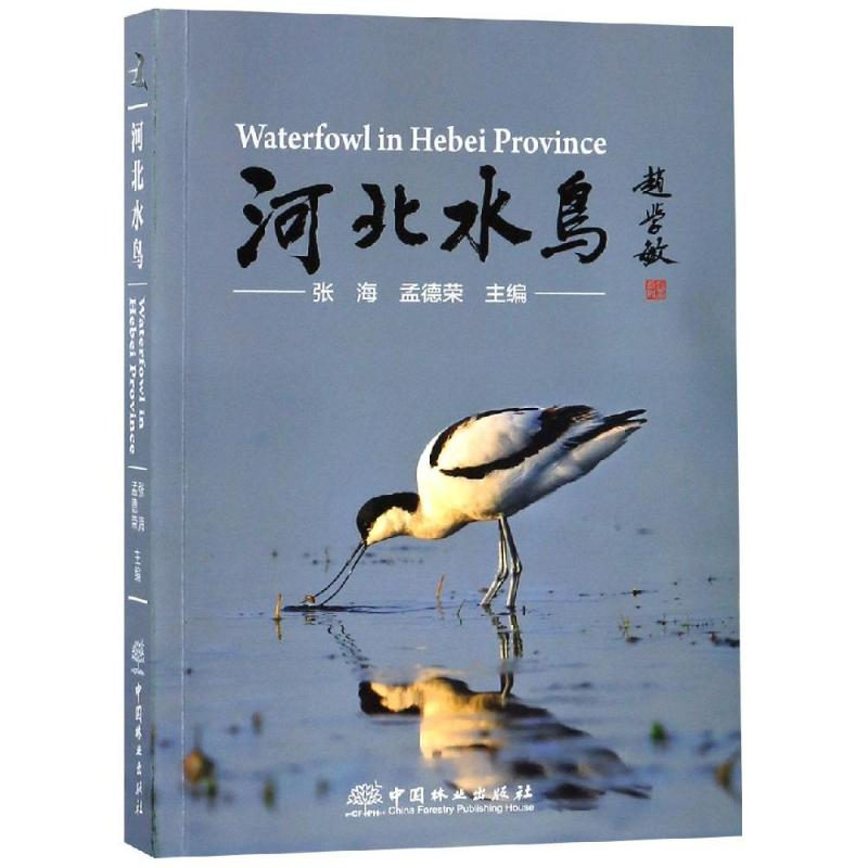 音像河北水鸟张海、孟德荣