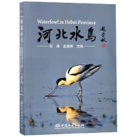 音像河北水鸟张海、孟德荣