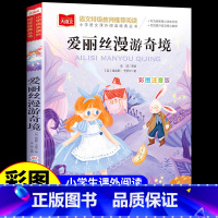 爱丽丝漫游奇境 [正版]爱丽丝漫游奇境注音版 小学生一年级二年级三年级阅读课外书书籍带拼音经典童话儿童故事书绘本梦游仙境