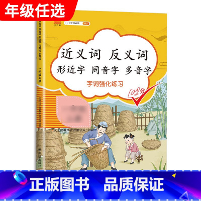近义反义字 二年级下 [正版]汉之简小学语文句子训练生字组词造句近义词反义词形近字多音字同音字仿写扩充扩展同步专项练