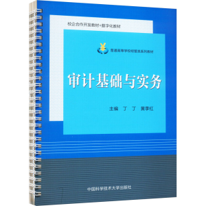 [M]审计基础与实务-9787312055782