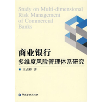 正版新书]商业银行多维度风险管理体系研究王占峰9787504951601