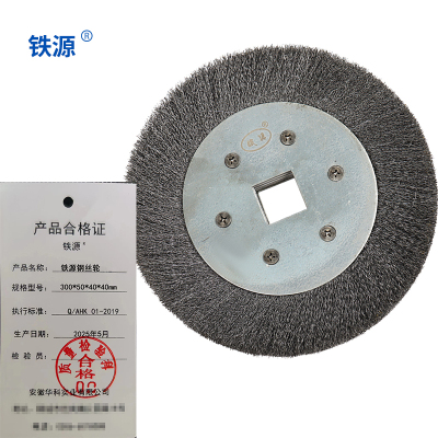 铁源钢丝轮 300*50*40*40mm 只
