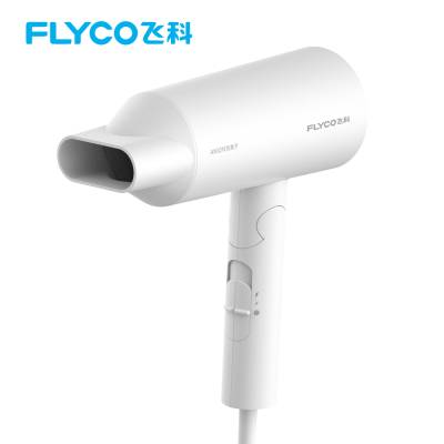 FLYCO飞科电吹风FH6276