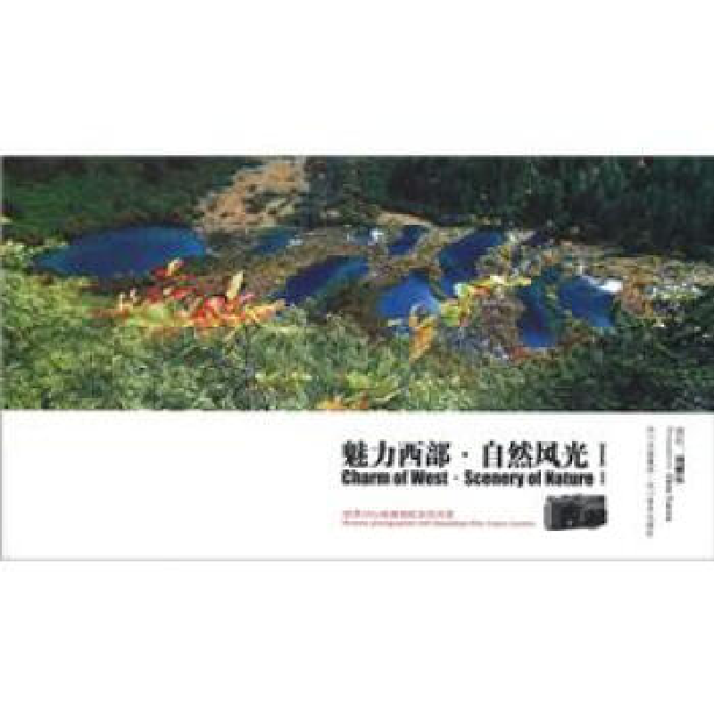 正版新书]魅力西部.自然风光-I周耀伍9787541049477
