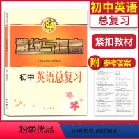 [正版]精练与提高 初中英语总复习 九年级9年级中考英语总复习阶段综合练习册 智慧学习步步高丛书 上海沪教版初三英语同