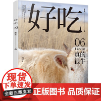 好吃06 正版书籍