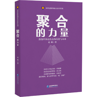 正版新书]聚合的力量-游荡中国走出去的历史与未来赵鹏978751641