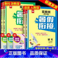 语文英语人教版+数学科学浙教版 八年级/初中二年级 [正版]2024版 实验班提优训练暑假衔接八升九年级语文数学英语科学