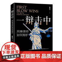 一辩击中:刑事律师如何辩护 陈洪兵 著 北京大学出版社