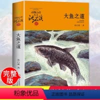 [正版]大鱼之道 动物小说大王沈石溪品藏书系 适合儿童的课外启发读物教辅 少儿文学小说寓言故事书 四五六年级小学生少