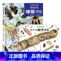 [全2册]神秘的蟑螂图鉴+神奇的种子图鉴 [正版]生命的力量神秘的蟑螂图鉴神奇的种子图鉴 自然科学绘本昆虫百科知识启蒙书