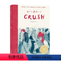 [正版]我今天遇到一个crush 索菲·伯罗斯著 孤独的现代都市人对于浪漫爱情的美好憧憬