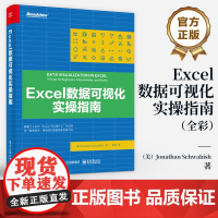 店 Excel数据可视化实操指南 全彩 数据图表创建方法Excel制图教程讲解书籍 Excel数据可视化原理数据分析可