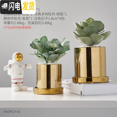 三维工匠北欧ins风金色轻奢陶瓷花盆镀金 创意个性现代简约盆栽装饰小摆件 宇航员花盆仿真绿植组合[送托盘] 小花盆容器