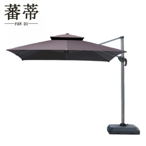 蕃蒂
