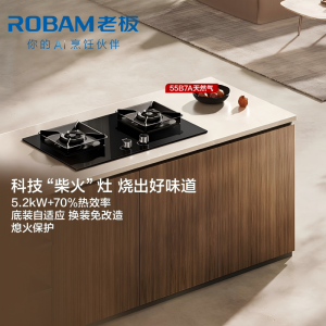 老板(Robam)5.2kW燃气灶70%热效率灶具 节能省气 双灶家用一级能效猛火灶55B7A天然气