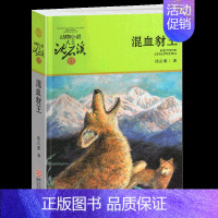 混血豺王 [正版]野马归野沈石溪小学四年级五年级全集全套书浙江少年儿童出版社版完整版动物小说大王品藏书系小学生课外阅读适