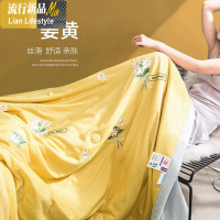 空调被薄款夏季单人学生春秋被芯双人可机洗薄被子夏天儿童夏凉被 三维工匠