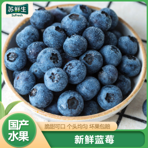 SF快递[苏鲜生] 新鲜辽宁蓝莓 个头饱满 2盒 单果20mm+ 125g/盒 口感甜蜜
