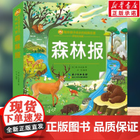 森林报 彩绘注音版一二三年级必课外阅读书老师儿童拼音故事书籍 小蜜蜂童书馆书系儿童文学读物长江少年儿童出版正版图书