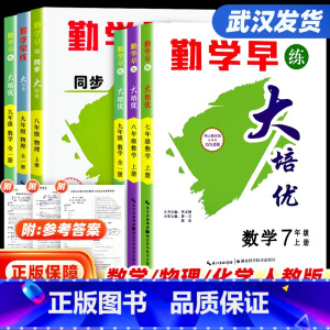 2023版[大培优]数学(九年级为全一册) 九年级上 [正版]武汉发货2024新版勤学早同步大培优名校压轴题好好卷课时导