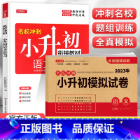 总复习+模拟试卷 语文2本 小学升初中 [正版]2023小升初模拟试卷真题卷语文数学英语全套人教版小学毕业升学系统总复习