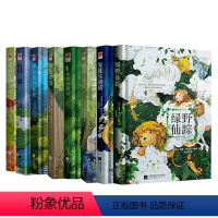 童话故事集全八册 [正版]硬壳精装|绿野仙踪 世界名著原著全译本 三四五年级课外书 儿童读物童话故事书文学小说童话书籍