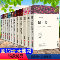 [正版]全套12册世界十大名著无删减版原著飘巴黎圣母院傲慢与偏见简爱瓦尔登湖童年老人与海红与黑复活战争与和平名著书籍文