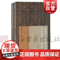 慧琳一切经音义文字整理与研究 孙建伟著繁体横排上海古籍出版社疑难字文字考辨汉语史汉语言文字学