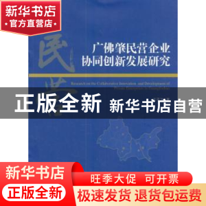 正版 广佛肇民营企业协同创新发展研究 王子飞 著 经济管理出版社