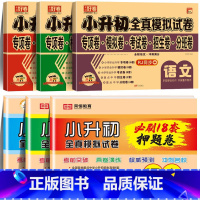 [6本]真题卷+必刷押题卷 小学升初中 [正版]2024小升初真卷必刷题人教版六年级下册试卷测试卷全套语文数学英语18套