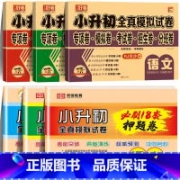 [6本]真题卷+必刷押题卷 小学升初中 [正版]2024小升初真卷必刷题人教版六年级下册试卷测试卷全套语文数学英语18套