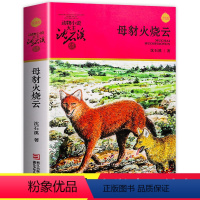 [正版]母豺火烧云 沈石溪动物小说品藏书系升级版 小学生课外阅读书籍6-12岁青少年版儿童文学三四五六年级必读儿童文学