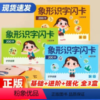 [套装更划算]象形识字卡 全套三册 [正版]幼儿象形识字闪卡幼儿园专注力划消卡儿童小学生图形认知记忆力幼小衔接早教教具基