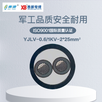 秦源牌 YJLV-0.6/1KV-2*25mm² 铝芯低压电力电缆 元/米 定制商品 联系客服