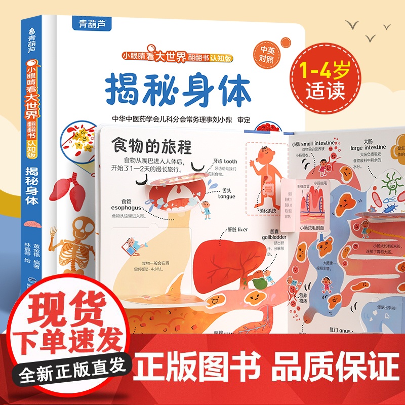 青葫芦揭秘身体 1-4岁幼儿启蒙早教书2到3岁儿童绘本人体科普百科全书身体的秘密宝宝生理认知教育书籍幼儿园趣味阅读益智翻